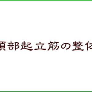 頚部起立筋の整体